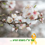 Read more about the article עלון הכפר 144